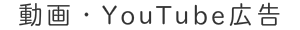 動画　Youtube広告　Trewview広告　費用